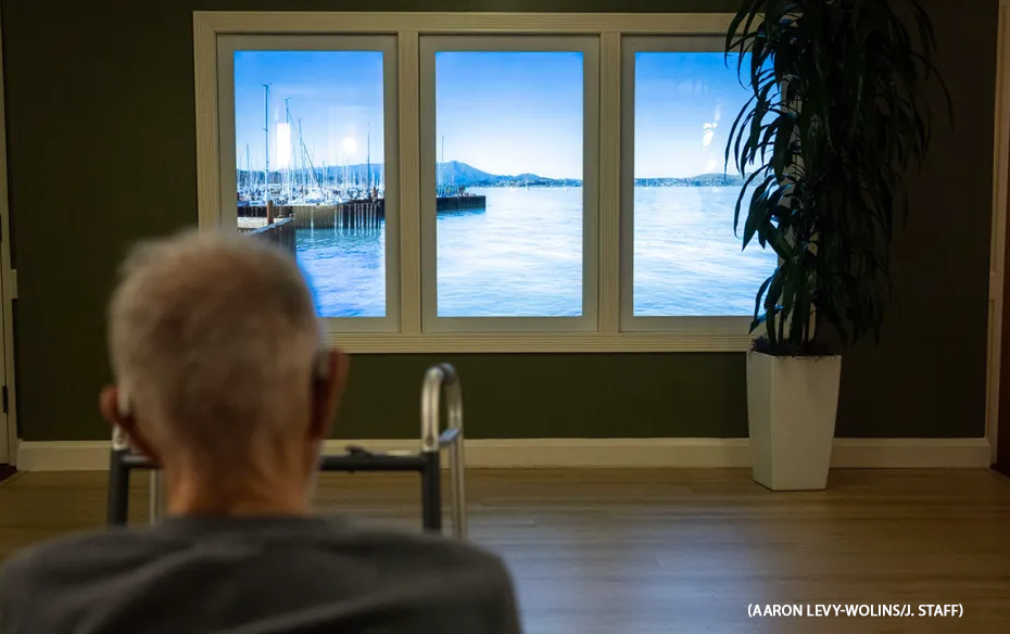 Senior looking at Digital Window