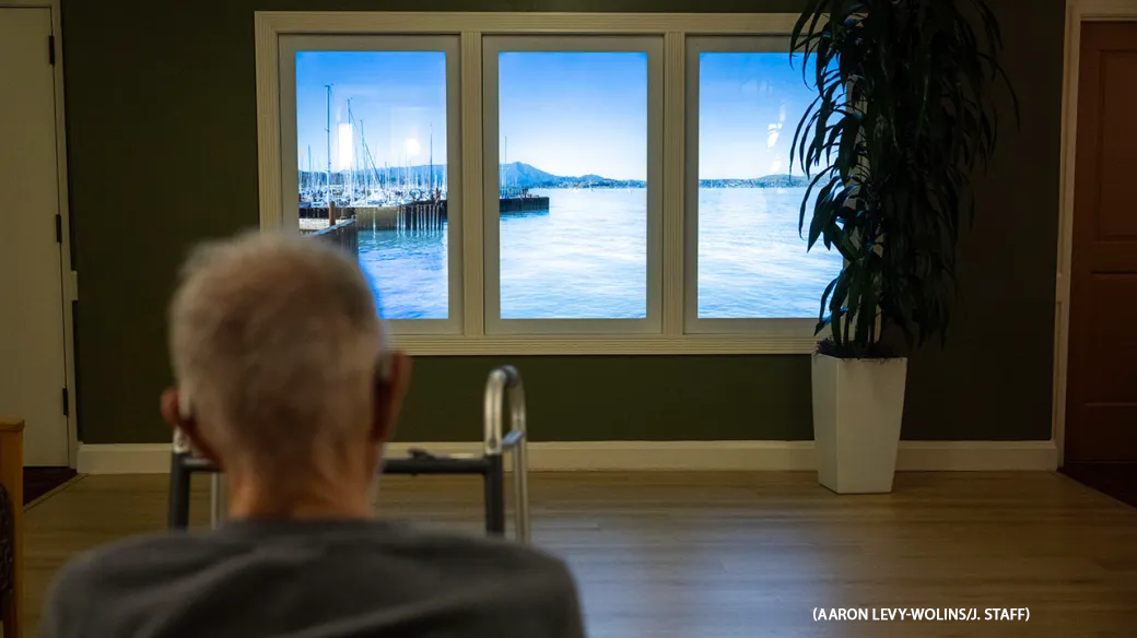 Senior looking at Digital Window