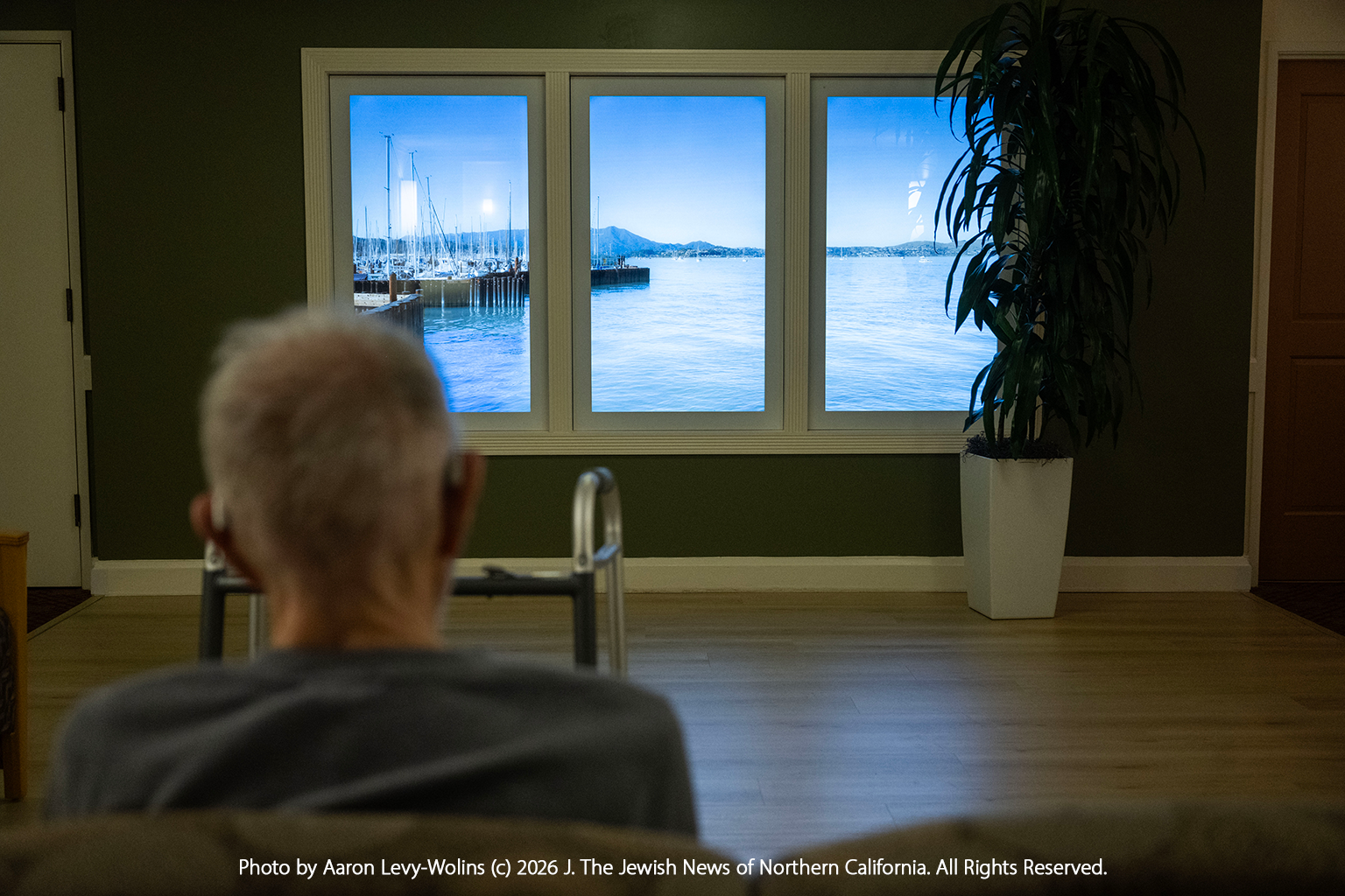 Senior looking at Digital Window