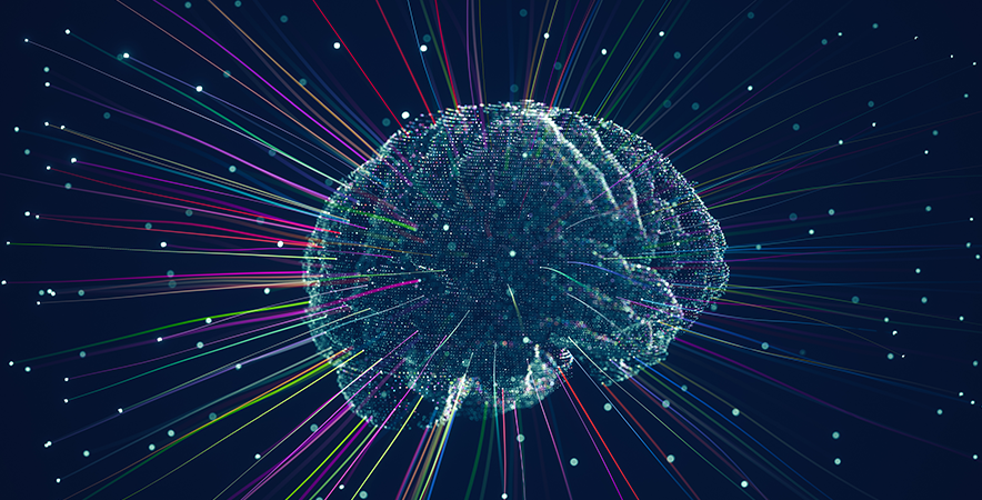 brain